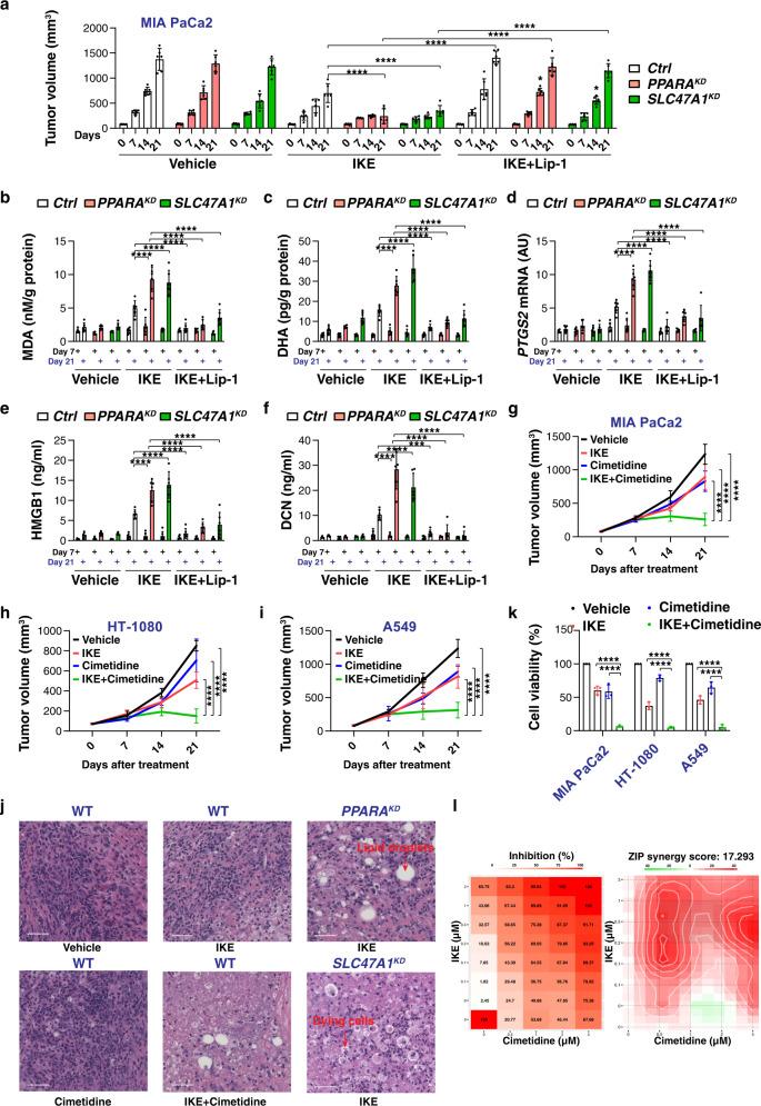 https://cdn.ncbi.nlm.nih.gov/pmc/blobs/e701/9794750/56e765534ca0/41467_2022_35707_Fig7_HTML.jpg