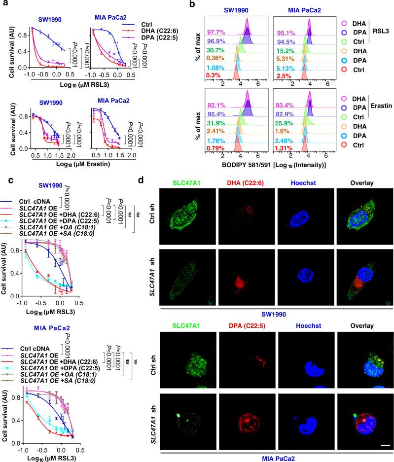 https://cdn.ncbi.nlm.nih.gov/pmc/blobs/e701/9794750/b4b3d8165a7f/41467_2022_35707_Fig4_HTML.jpg
