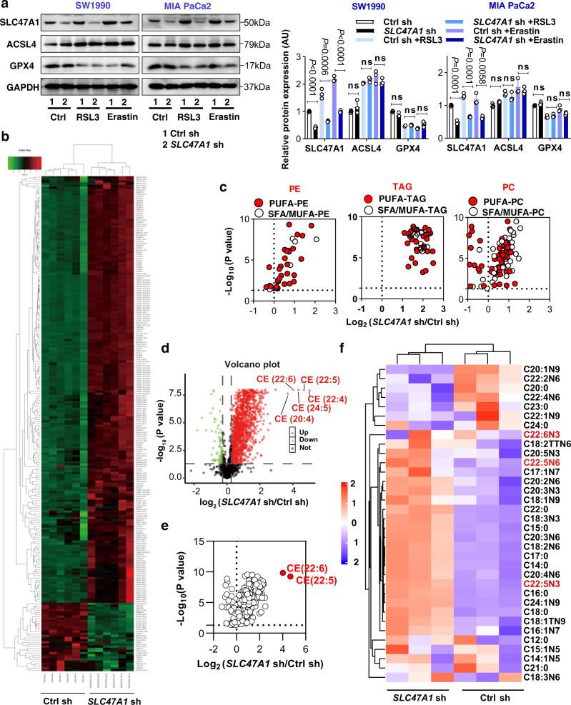 https://cdn.ncbi.nlm.nih.gov/pmc/blobs/e701/9794750/f26f4817ed5d/41467_2022_35707_Fig3_HTML.jpg