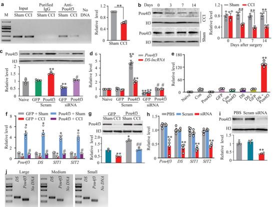https://cdn.ncbi.nlm.nih.gov/pmc/blobs/e703/8356248/3191ec69ef60/ADVS-8-2004515-g002.jpg