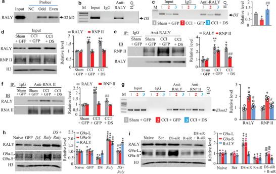 https://cdn.ncbi.nlm.nih.gov/pmc/blobs/e703/8356248/b043953572f9/ADVS-8-2004515-g007.jpg