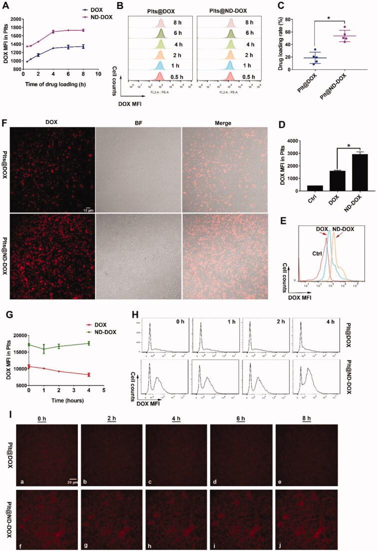 https://cdn.ncbi.nlm.nih.gov/pmc/blobs/e704/8956315/c1c84c11ed40/IDRD_A_2053762_F0002_C.jpg