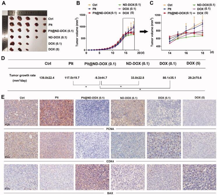 https://cdn.ncbi.nlm.nih.gov/pmc/blobs/e704/8956315/f1ac25fd5323/IDRD_A_2053762_F0007_C.jpg