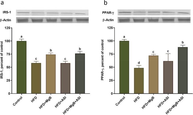 https://cdn.ncbi.nlm.nih.gov/pmc/blobs/e705/11303438/856e80007fb0/10238_2024_1434_Fig2_HTML.jpg