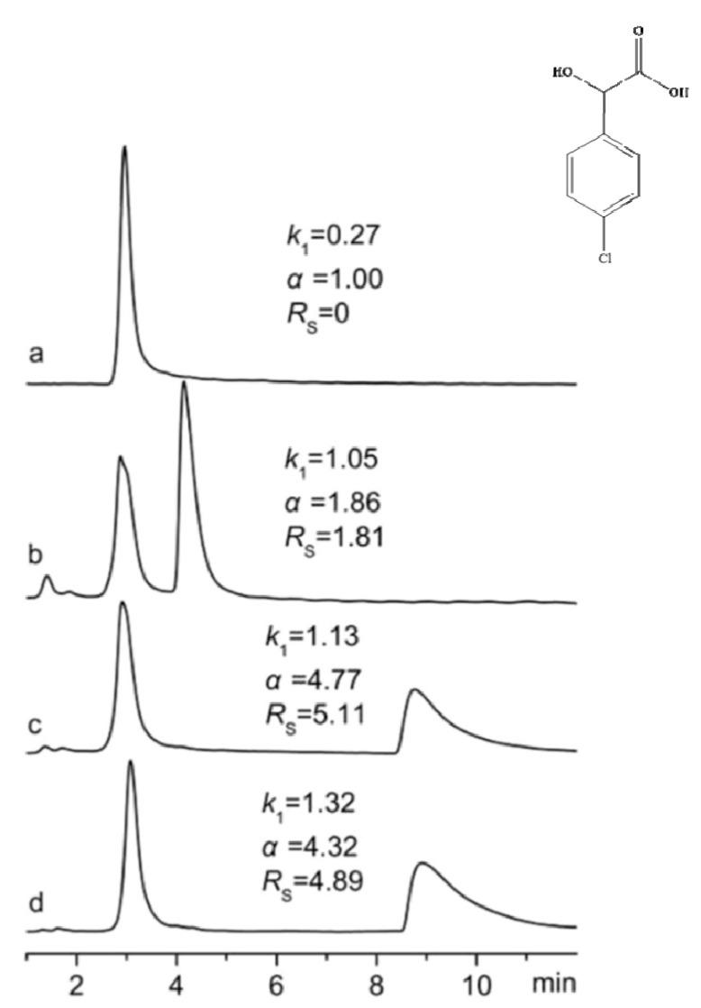 https://cdn.ncbi.nlm.nih.gov/pmc/blobs/e705/7352568/180dd6dbdc08/ijms-21-04253-g012.jpg