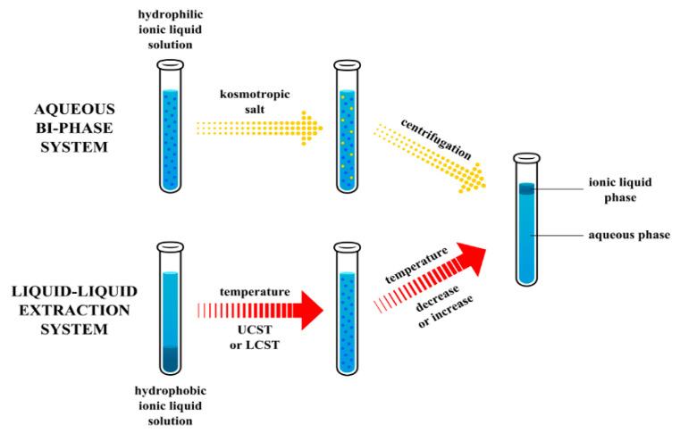 https://cdn.ncbi.nlm.nih.gov/pmc/blobs/e705/7352568/1b89d826f82d/ijms-21-04253-g004.jpg