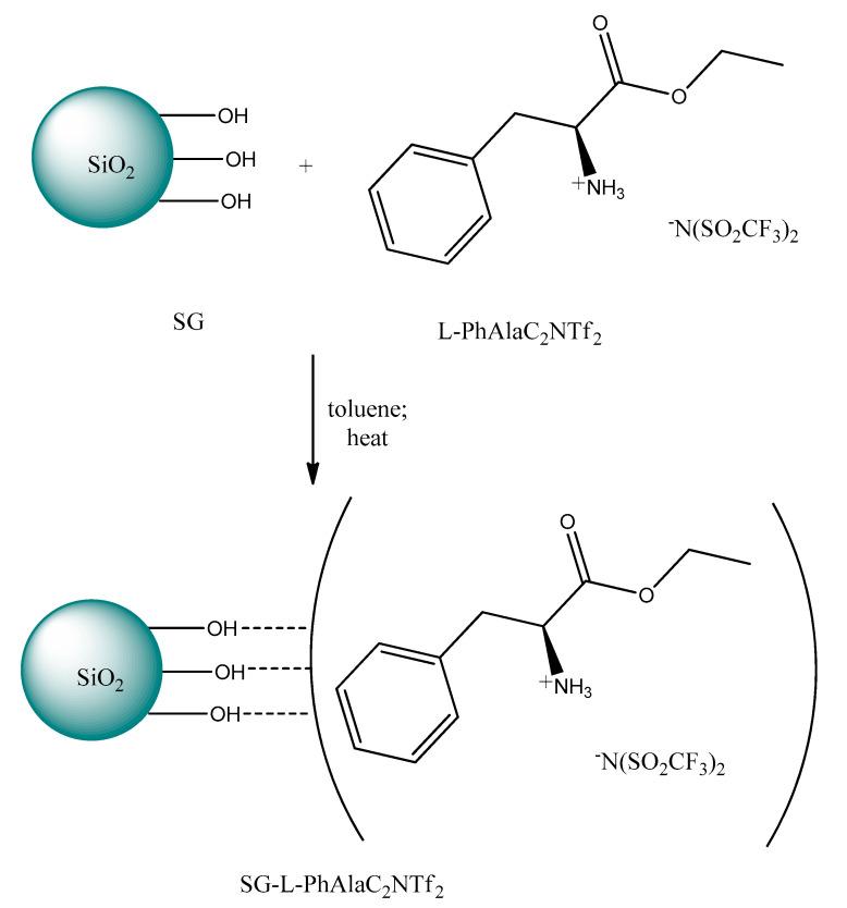https://cdn.ncbi.nlm.nih.gov/pmc/blobs/e705/7352568/48655390a3fa/ijms-21-04253-g010.jpg