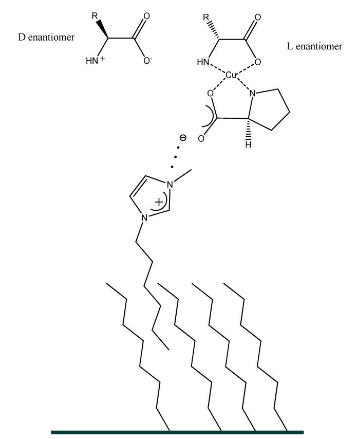 https://cdn.ncbi.nlm.nih.gov/pmc/blobs/e705/7352568/dae2e4ec3659/ijms-21-04253-g017.jpg
