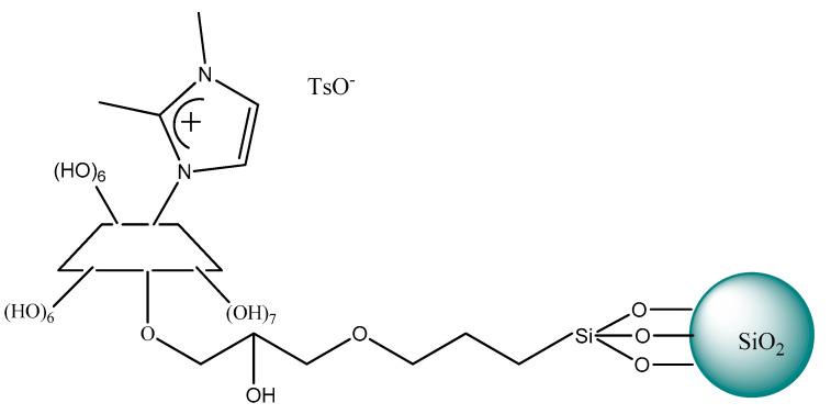 https://cdn.ncbi.nlm.nih.gov/pmc/blobs/e705/7352568/f9c33e76ce56/ijms-21-04253-g014.jpg