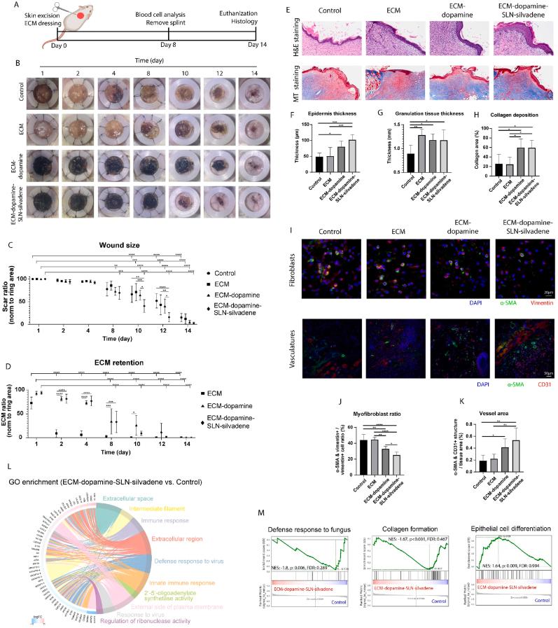 https://cdn.ncbi.nlm.nih.gov/pmc/blobs/e706/12008594/e8eec9ca79c3/gr4.jpg