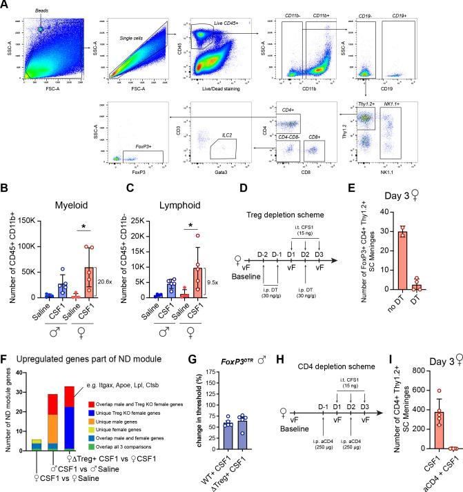 https://cdn.ncbi.nlm.nih.gov/pmc/blobs/e707/8639143/2b997c9ac8b5/elife-69056-fig3-figsupp1.jpg