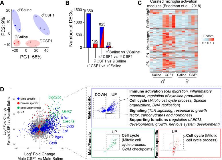 https://cdn.ncbi.nlm.nih.gov/pmc/blobs/e707/8639143/86c6df0760af/elife-69056-fig2.jpg