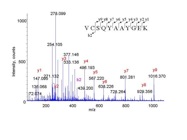 https://cdn.ncbi.nlm.nih.gov/pmc/blobs/e708/1431555/df6e37831a88/1471-2407-6-68-4.jpg