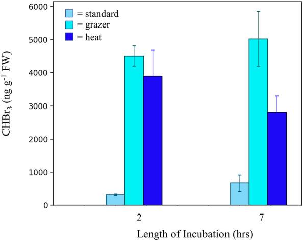 https://cdn.ncbi.nlm.nih.gov/pmc/blobs/e709/10806984/f355226f313a/41598_2024_52182_Fig6_HTML.jpg