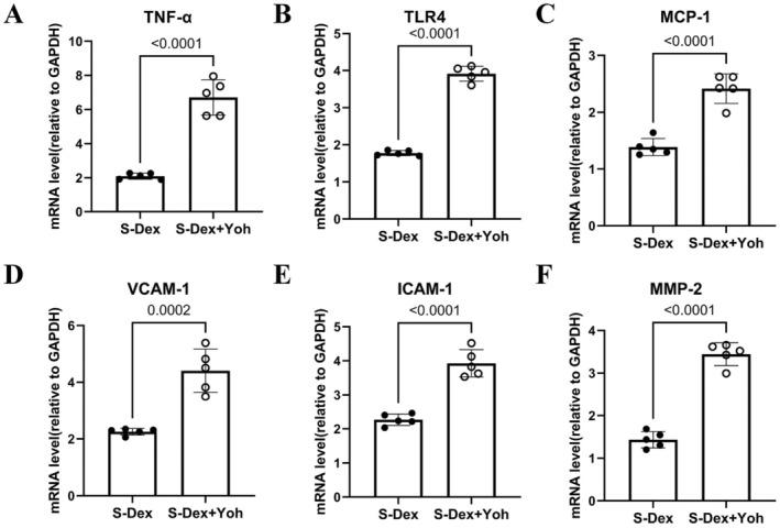 https://cdn.ncbi.nlm.nih.gov/pmc/blobs/e709/12042889/1d8c24d03e25/FSB2-39-e70546-g002.jpg