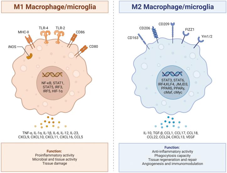 https://cdn.ncbi.nlm.nih.gov/pmc/blobs/e70a/11773807/2bd5f3869583/uxae105_fig3.jpg