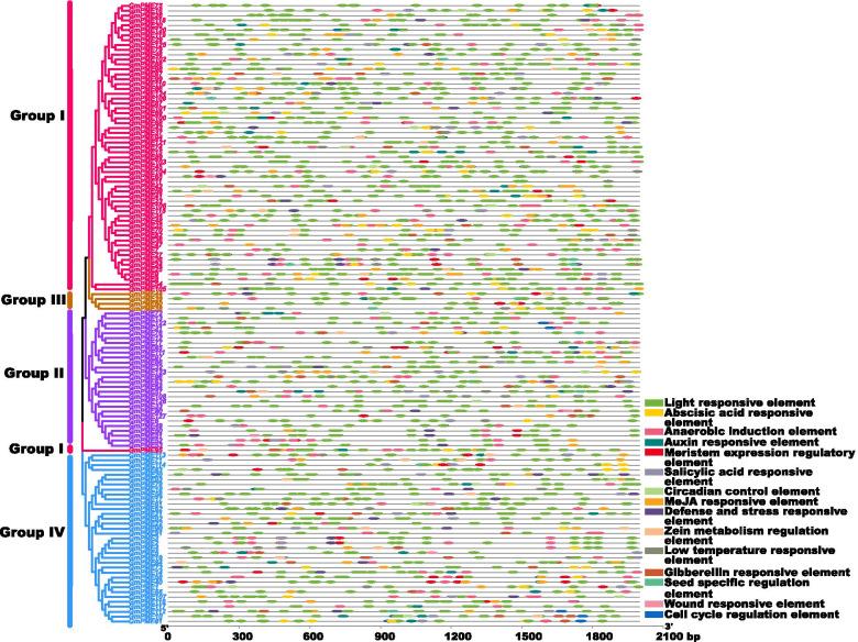 https://cdn.ncbi.nlm.nih.gov/pmc/blobs/e70a/8647493/772154e46051/12870_2021_3355_Fig9_HTML.jpg