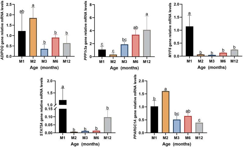 https://cdn.ncbi.nlm.nih.gov/pmc/blobs/e70b/11167792/01cc11d55ea6/12864_2024_10486_Fig4_HTML.jpg