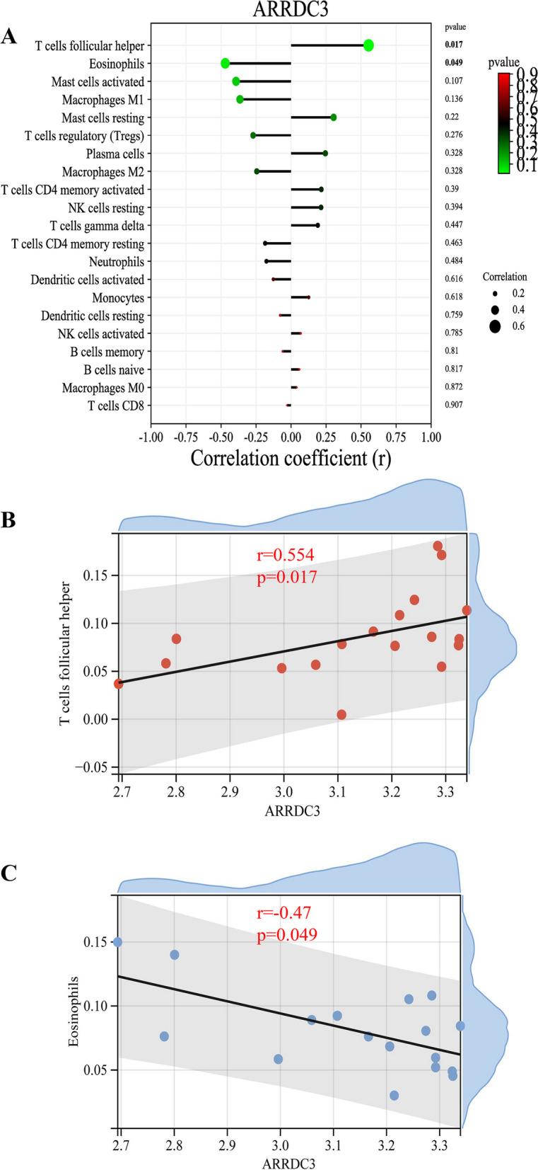 https://cdn.ncbi.nlm.nih.gov/pmc/blobs/e70c/10566044/c9ccaebf5942/12872_2023_3511_Fig6_HTML.jpg