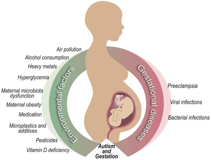 https://cdn.ncbi.nlm.nih.gov/pmc/blobs/e70c/10969859/fefbad1f606c/ijerph-21-00244-g001.jpg