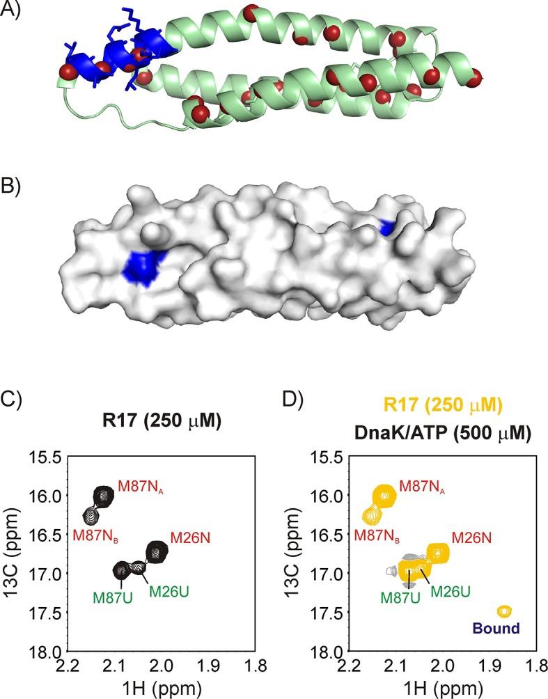 https://cdn.ncbi.nlm.nih.gov/pmc/blobs/e70e/5819949/01baa8ffa907/elife-32764-fig3.jpg