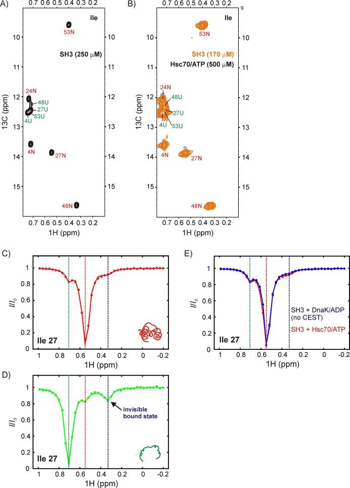 https://cdn.ncbi.nlm.nih.gov/pmc/blobs/e70e/5819949/30c7753c0ce6/elife-32764-fig8.jpg