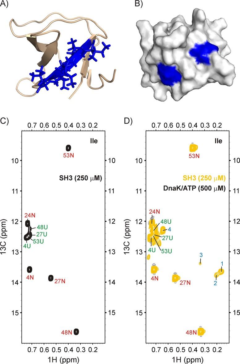 https://cdn.ncbi.nlm.nih.gov/pmc/blobs/e70e/5819949/8db00ec99ccc/elife-32764-fig5.jpg