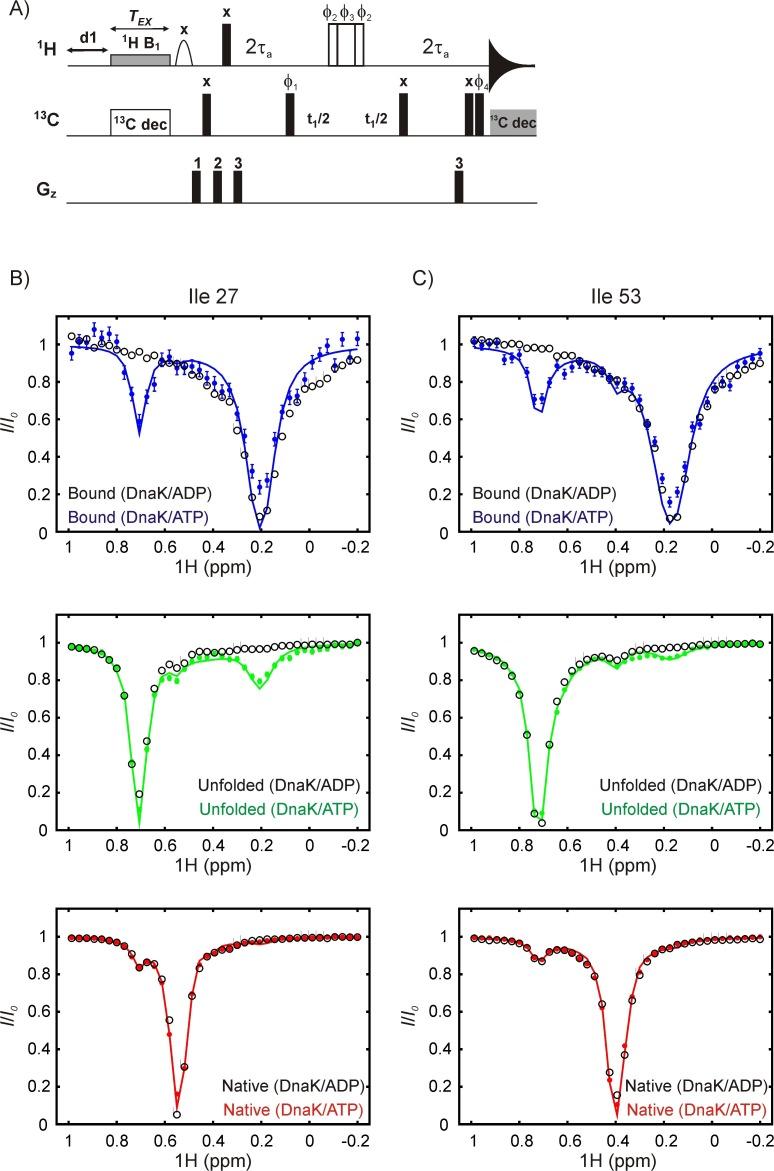 https://cdn.ncbi.nlm.nih.gov/pmc/blobs/e70e/5819949/a4a9822aa727/elife-32764-fig6-figsupp1.jpg