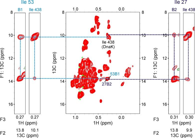 https://cdn.ncbi.nlm.nih.gov/pmc/blobs/e70e/5819949/c6407b01559a/elife-32764-fig5-figsupp1.jpg
