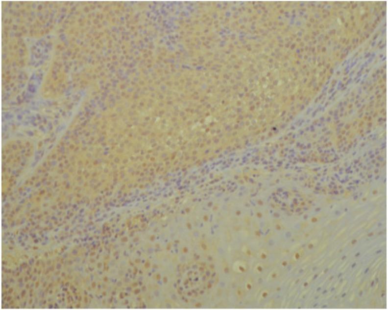 https://cdn.ncbi.nlm.nih.gov/pmc/blobs/e70f/7141524/86d93ae2b4c2/jcm-09-00867-g001.jpg
