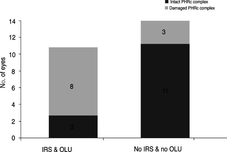 https://cdn.ncbi.nlm.nih.gov/pmc/blobs/e710/3663060/46a10c32298e/kjo-27-178-g003.jpg