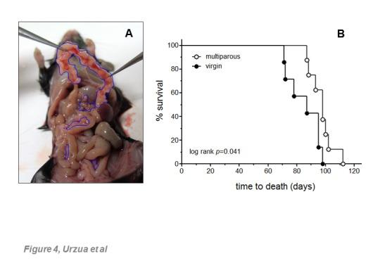 https://cdn.ncbi.nlm.nih.gov/pmc/blobs/e710/5614320/153969557e12/ad-8-5-546-g4.jpg