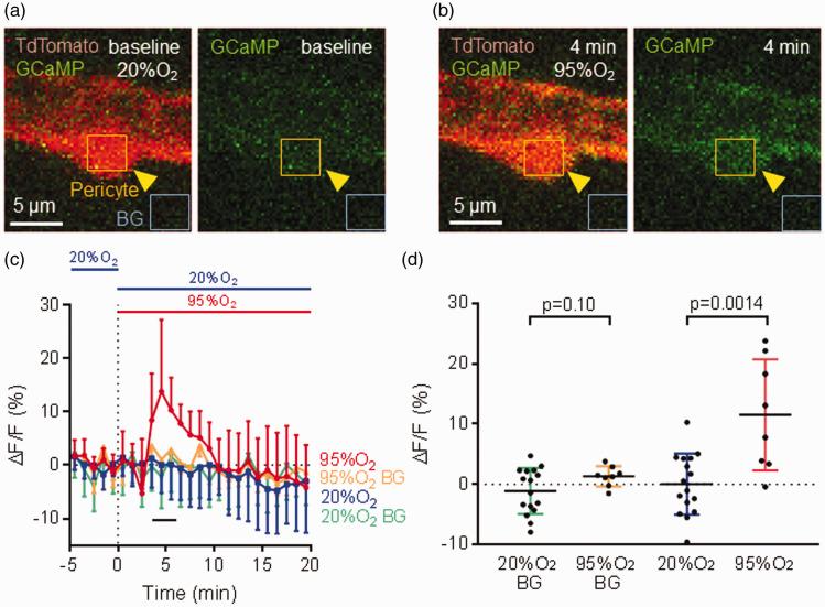 https://cdn.ncbi.nlm.nih.gov/pmc/blobs/e710/9580167/4b829e391040/10.1177_0271678X221111598-fig3.jpg
