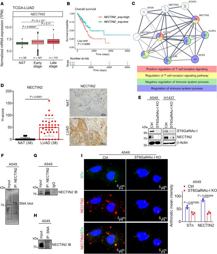 https://cdn.ncbi.nlm.nih.gov/pmc/blobs/e713/12077904/48f3483d8c37/jci-135-186863-g038.jpg