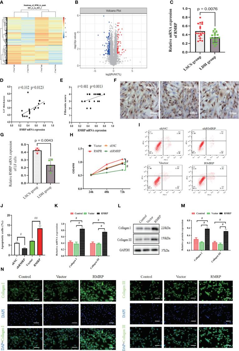 https://cdn.ncbi.nlm.nih.gov/pmc/blobs/e719/11362830/98f6974c025e/fimmu-15-1427970-g002.jpg