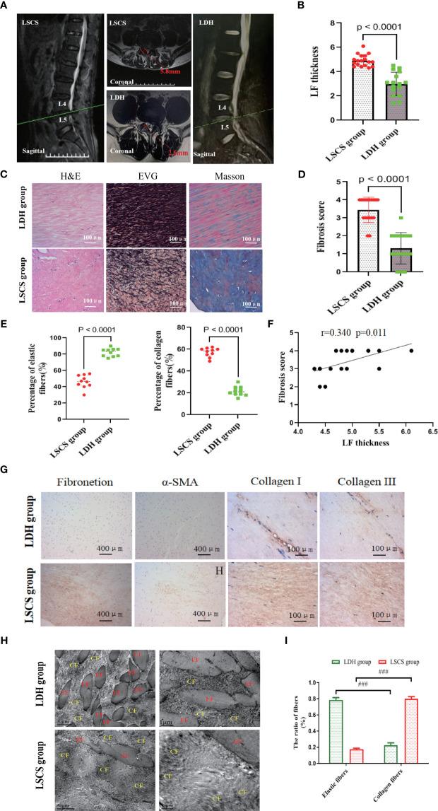 https://cdn.ncbi.nlm.nih.gov/pmc/blobs/e719/11362830/bd8f40c1feca/fimmu-15-1427970-g001.jpg