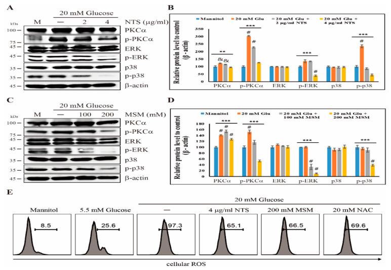 https://cdn.ncbi.nlm.nih.gov/pmc/blobs/e719/7287819/8a215f1f5fce/molecules-25-02342-g003.jpg