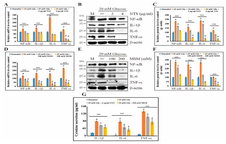 https://cdn.ncbi.nlm.nih.gov/pmc/blobs/e719/7287819/8f941fdb3972/molecules-25-02342-g004.jpg