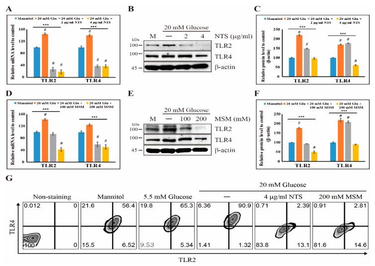 https://cdn.ncbi.nlm.nih.gov/pmc/blobs/e719/7287819/f19433649ffd/molecules-25-02342-g001.jpg
