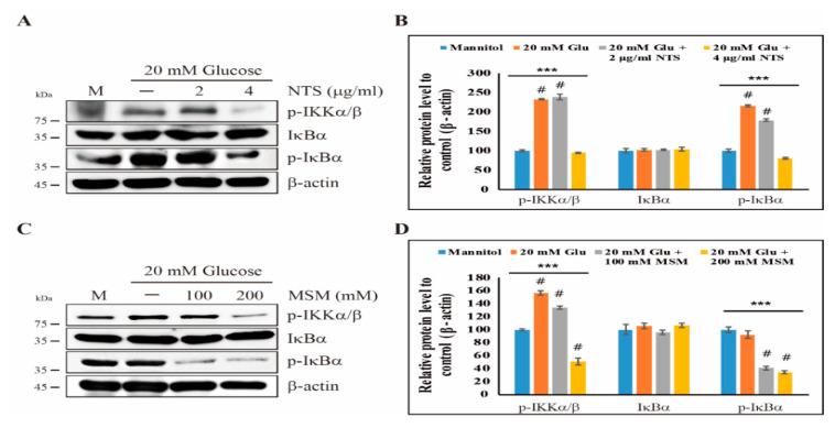 https://cdn.ncbi.nlm.nih.gov/pmc/blobs/e719/7287819/fca0023cd601/molecules-25-02342-g002.jpg