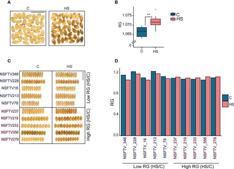 https://cdn.ncbi.nlm.nih.gov/pmc/blobs/e71c/9593041/c20fdce2f7f1/fpls-13-1026472-g001.jpg