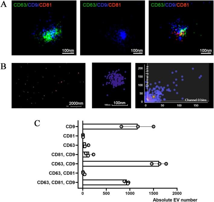 https://cdn.ncbi.nlm.nih.gov/pmc/blobs/e71e/12151544/8bf471c9b194/APT-62-22-g005.jpg
