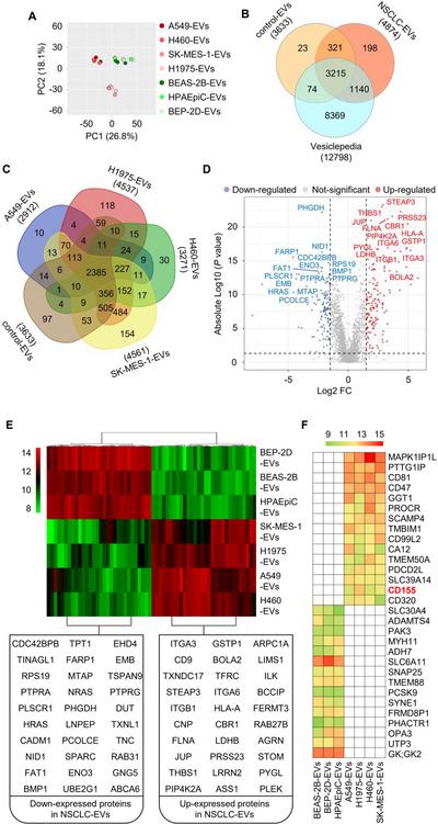 https://cdn.ncbi.nlm.nih.gov/pmc/blobs/e722/12077270/13fc5c9f39b3/JEV2-14-e70078-g005.jpg