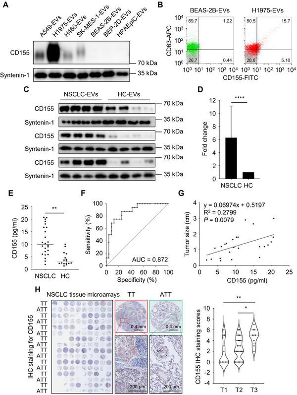 https://cdn.ncbi.nlm.nih.gov/pmc/blobs/e722/12077270/e2d1504cd975/JEV2-14-e70078-g004.jpg