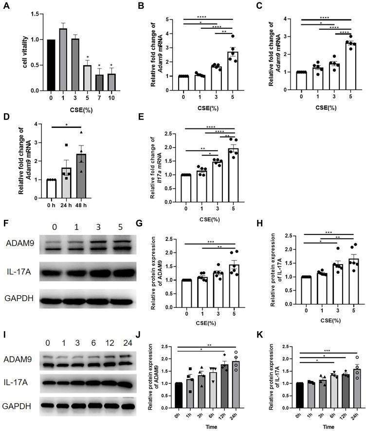 https://cdn.ncbi.nlm.nih.gov/pmc/blobs/e724/9578481/7a7e13fe8a73/COPD-17-2589-g0004.jpg