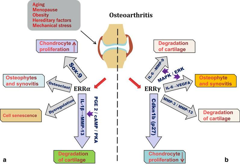 https://cdn.ncbi.nlm.nih.gov/pmc/blobs/e725/7809777/4d64ce97336f/10020_2021_270_Fig2_HTML.jpg