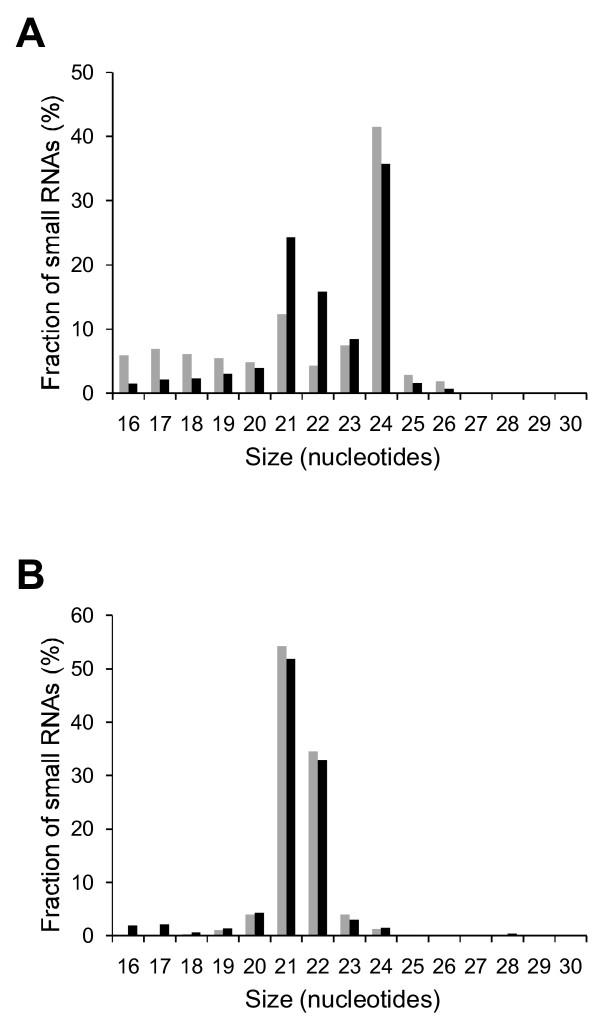https://cdn.ncbi.nlm.nih.gov/pmc/blobs/e726/2830927/90afdfdc347b/1471-2199-11-16-2.jpg