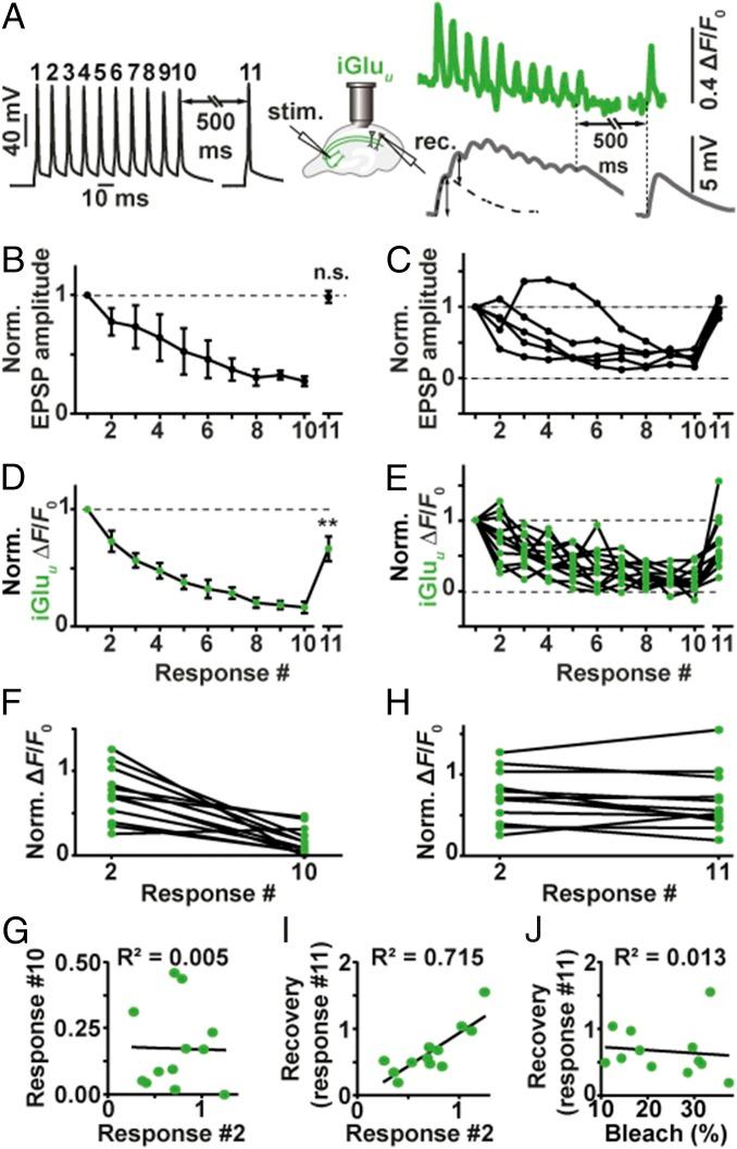 https://cdn.ncbi.nlm.nih.gov/pmc/blobs/e728/6003469/0a6425da2d8c/pnas.1720648115fig03.jpg