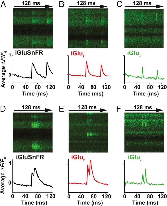 https://cdn.ncbi.nlm.nih.gov/pmc/blobs/e728/6003469/4254626b8e91/pnas.1720648115fig02.jpg