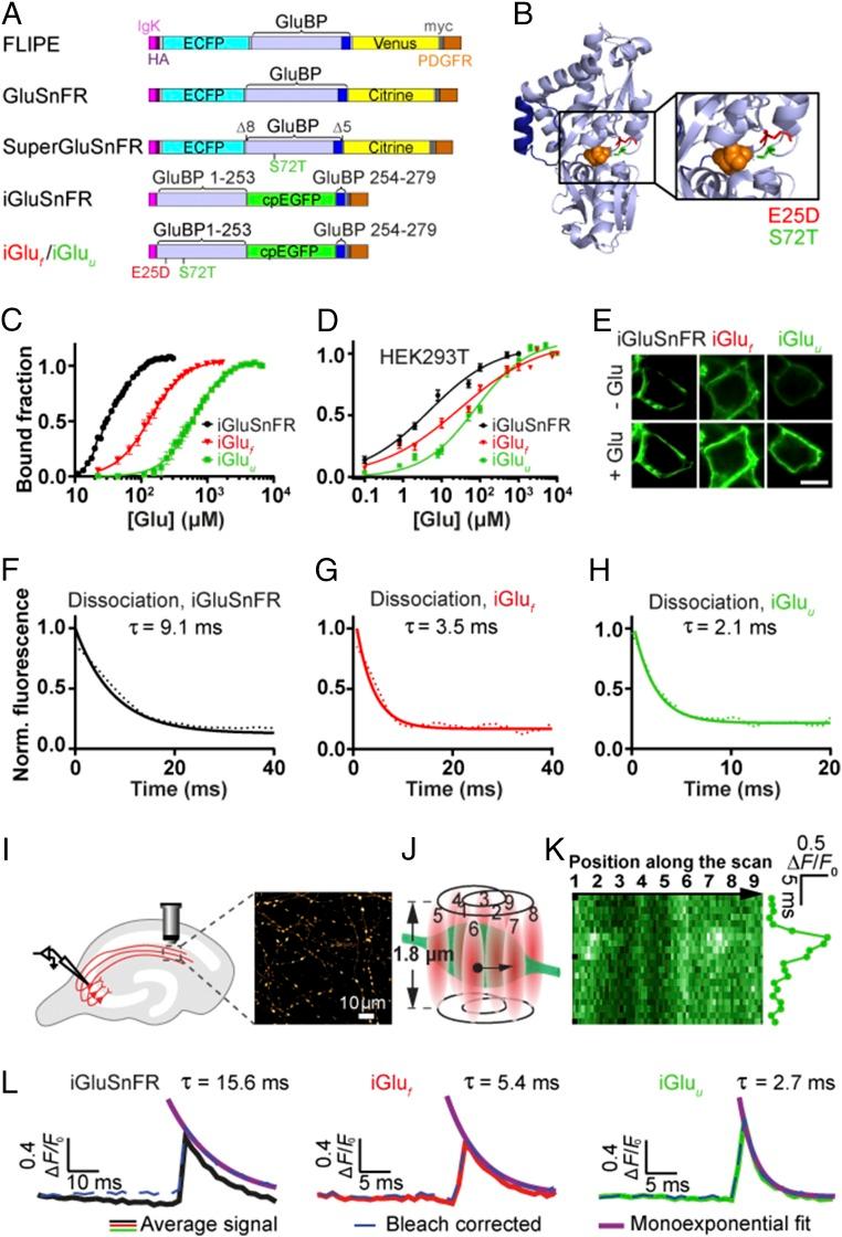 https://cdn.ncbi.nlm.nih.gov/pmc/blobs/e728/6003469/fe8e8358e150/pnas.1720648115fig01.jpg